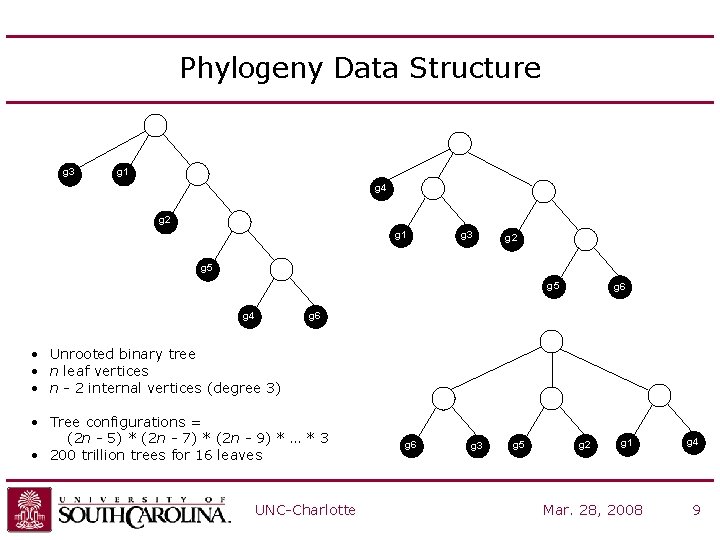 Phylogeny Data Structure g 3 g 1 g 4 g 2 g 1 g