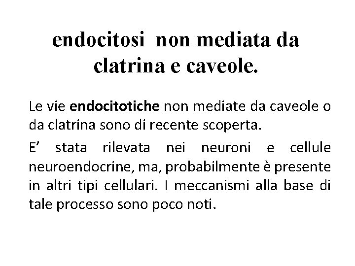 endocitosi non mediata da clatrina e caveole. Le vie endocitotiche non mediate da caveole