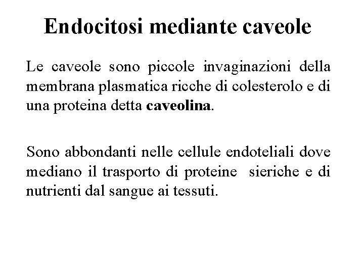 Endocitosi mediante caveole Le caveole sono piccole invaginazioni della membrana plasmatica ricche di colesterolo
