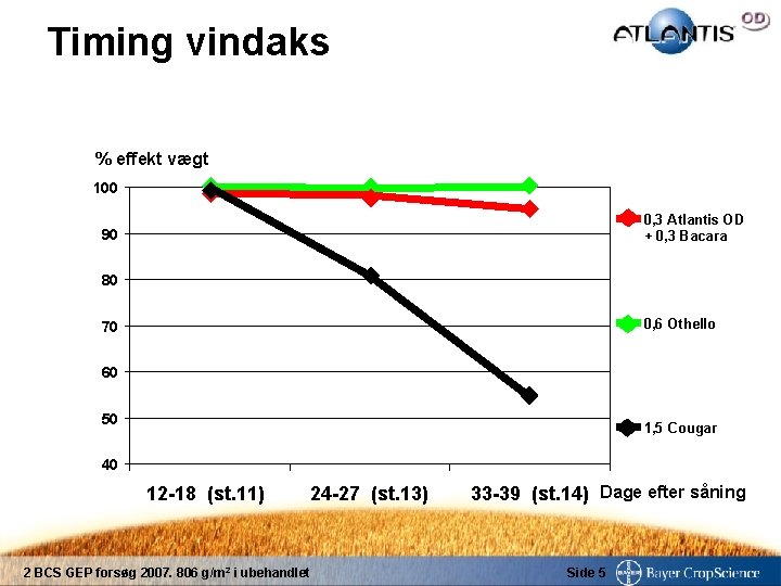 Timing vindaks % effekt vægt 100 0, 3 Atlantis OD + 0, 3 Bacara