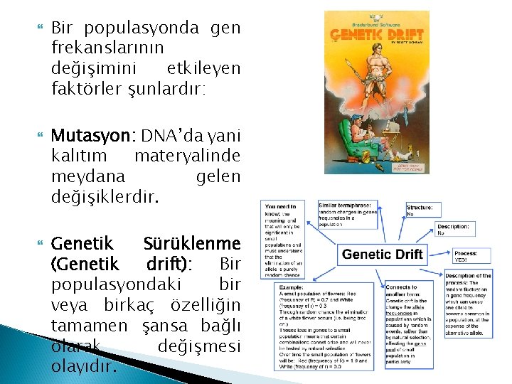  Bir populasyonda gen frekanslarının değişimini etkileyen faktörler şunlardır: Mutasyon: DNA’da yani kalıtım materyalinde