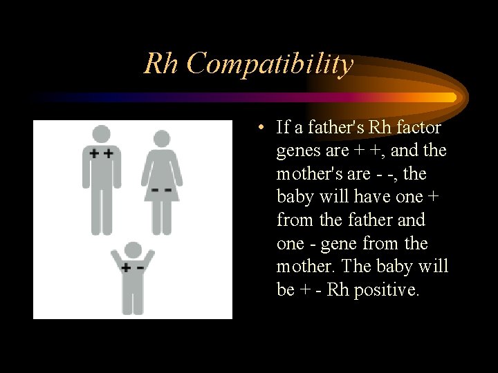 Rh Compatibility • If a father's Rh factor genes are + +, and the