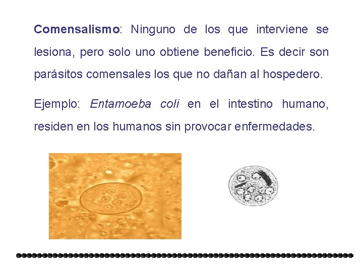 Comensalismo: Ninguno de los que interviene se lesiona, pero solo uno obtiene beneficio. Es