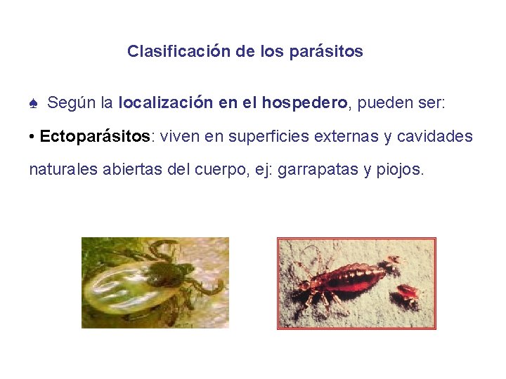 Clasificación de los parásitos ♠ Según la localización en el hospedero, pueden ser: •