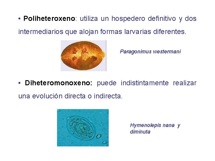  • Poliheteroxeno: utiliza un hospedero definitivo y dos intermediarios que alojan formas larvarias