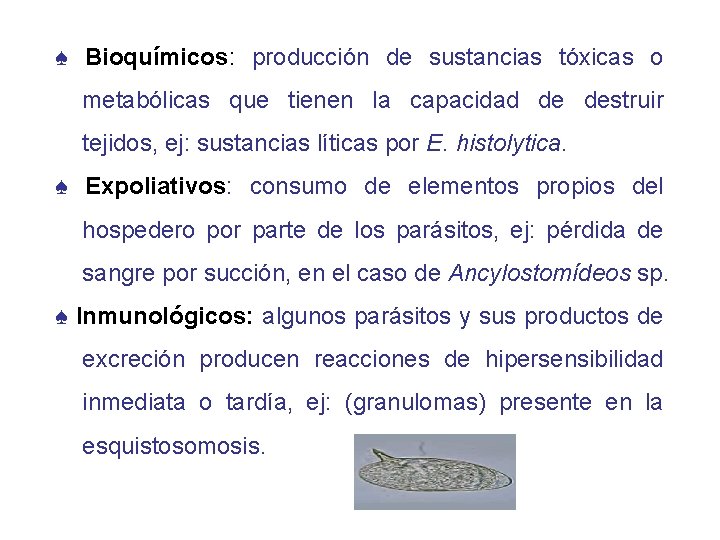 ♠ Bioquímicos: producción de sustancias tóxicas o metabólicas que tienen la capacidad de destruir