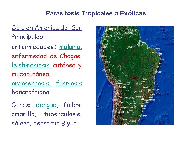 Parasitosis Tropicales o Exóticas Sólo en América del Sur Principales enfermedades: malaria, enfermedad de