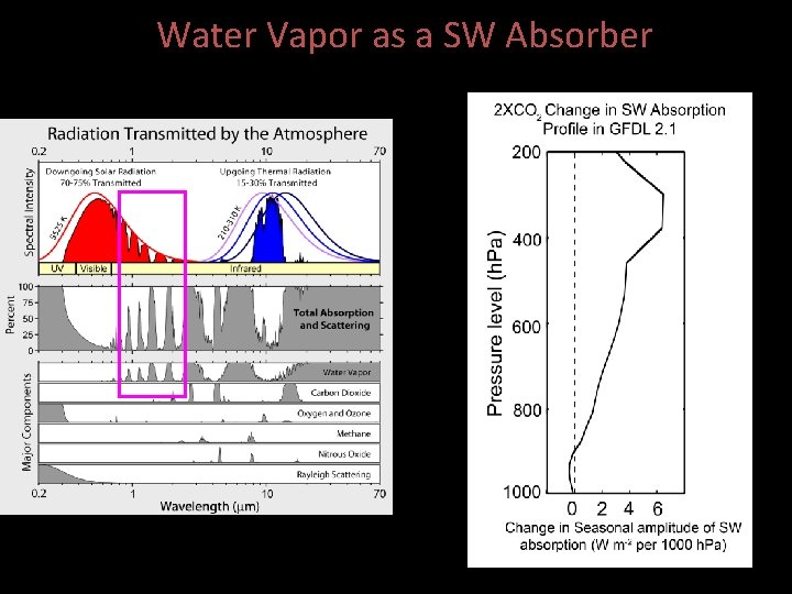 Water Vapor as a SW Absorber (Figure: Robert Rhode Global Warming Art Project) 