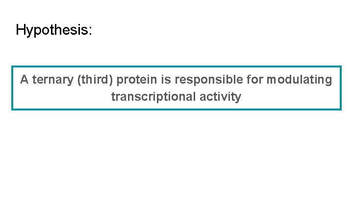 Hypothesis: A ternary (third) protein is responsible for modulating transcriptional activity 
