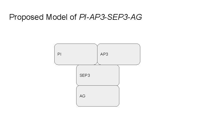 Proposed Model of PI-AP 3 -SEP 3 -AG PI AP 3 SEP 3 AG
