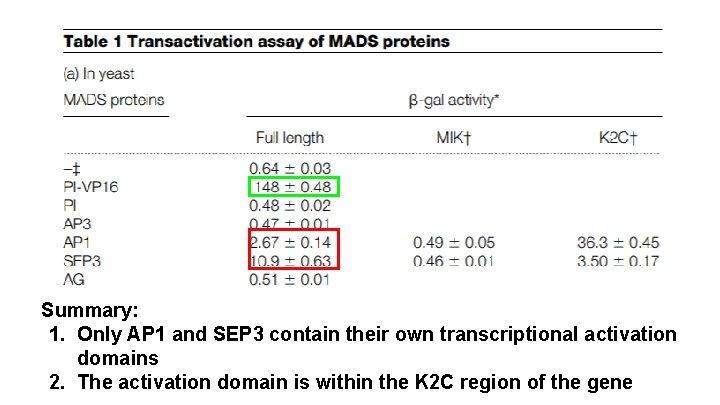 Summary: 1. Only AP 1 and SEP 3 contain their own transcriptional activation domains