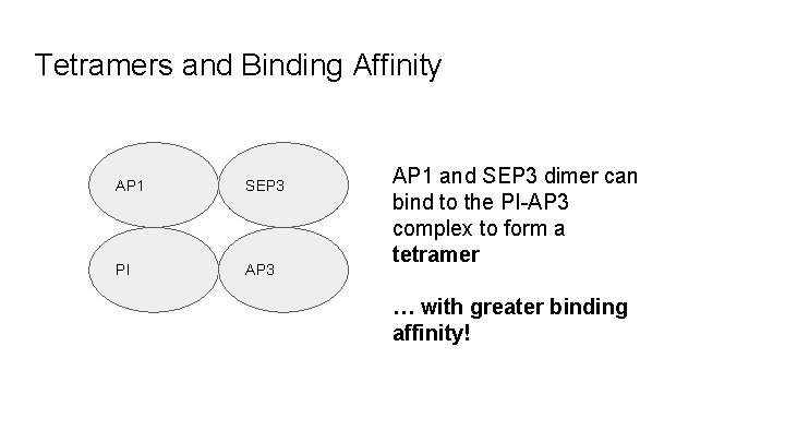 Tetramers and Binding Affinity AP 1 SEP 3 PI AP 3 AP 1 and