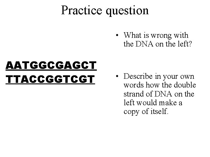 Practice question • What is wrong with the DNA on the left? AATGGCGAGCT TTACCGGTCGT
