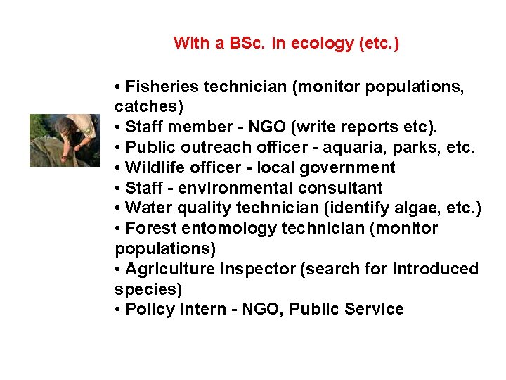 With a BSc. in ecology (etc. ) • Fisheries technician (monitor populations, catches) •