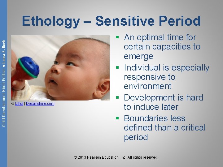 Child Development Ninth Edition ● Laura E. Berk Ethology – Sensitive Period © Lihui