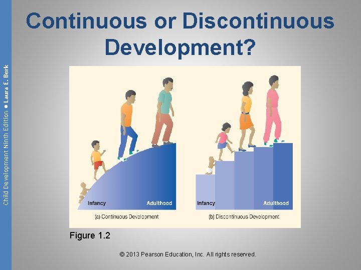 Child Development Ninth Edition ● Laura E. Berk Continuous or Discontinuous Development? Figure 1.