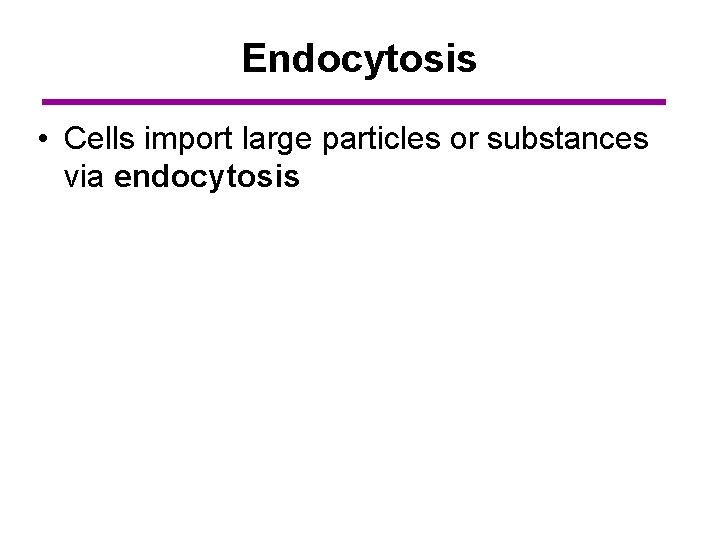 Endocytosis • Cells import large particles or substances via endocytosis 