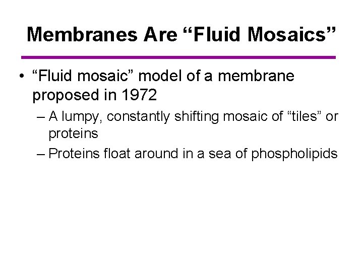 Membranes Are “Fluid Mosaics” • “Fluid mosaic” model of a membrane proposed in 1972