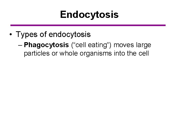 Endocytosis • Types of endocytosis – Phagocytosis (“cell eating”) moves large particles or whole