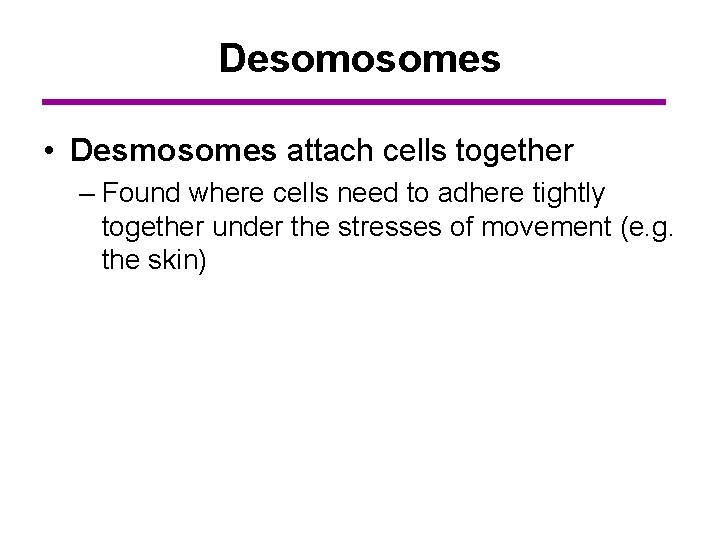 Desomosomes • Desmosomes attach cells together – Found where cells need to adhere tightly