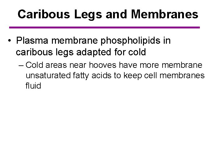 Caribous Legs and Membranes • Plasma membrane phospholipids in caribous legs adapted for cold
