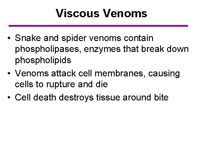 Viscous Venoms • Snake and spider venoms contain phospholipases, enzymes that break down phospholipids