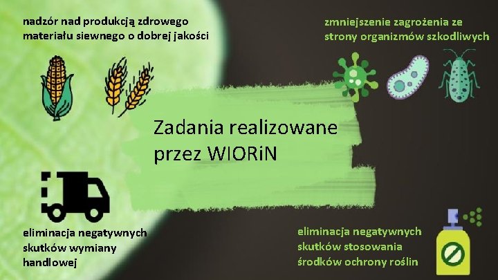 nadzór nad produkcją zdrowego materiału siewnego o dobrej jakości zmniejszenie zagrożenia ze strony organizmów