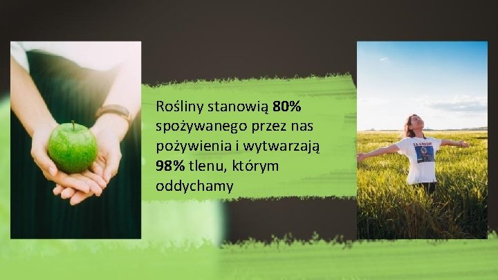 Rośliny stanowią 80% spożywanego przez nas pożywienia i wytwarzają 98% tlenu, którym oddychamy 