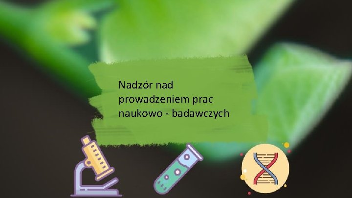 Nadzór nad prowadzeniem prac naukowo - badawczych 