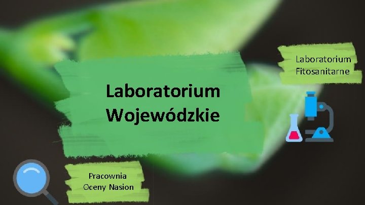 Laboratorium Fitosanitarne Laboratorium Wojewódzkie Pracownia Oceny Nasion 