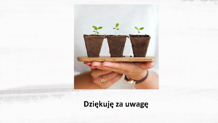 Dziękuję za uwagę 