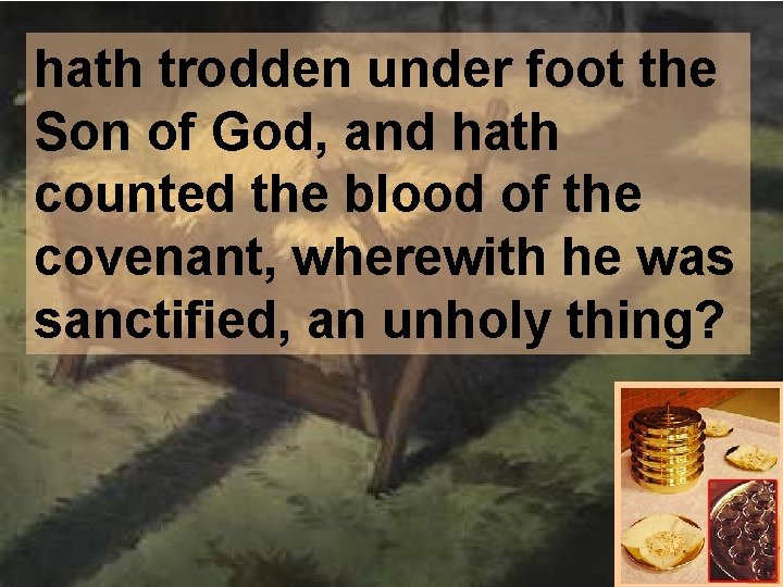 hath trodden under foot the Son of God, and hath counted the blood of