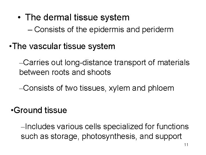  • The dermal tissue system – Consists of the epidermis and periderm •
