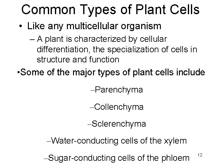 Common Types of Plant Cells • Like any multicellular organism – A plant is