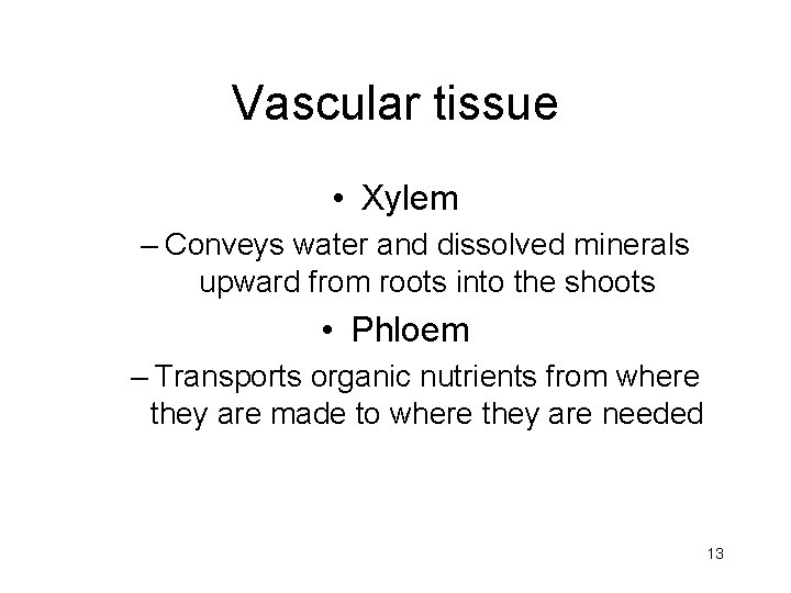 Vascular tissue • Xylem – Conveys water and dissolved minerals upward from roots into