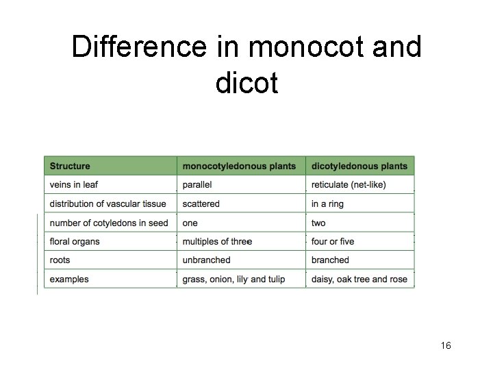 Difference in monocot and dicot 16 