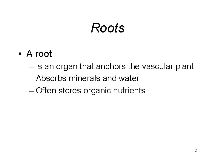 Roots • A root – Is an organ that anchors the vascular plant –