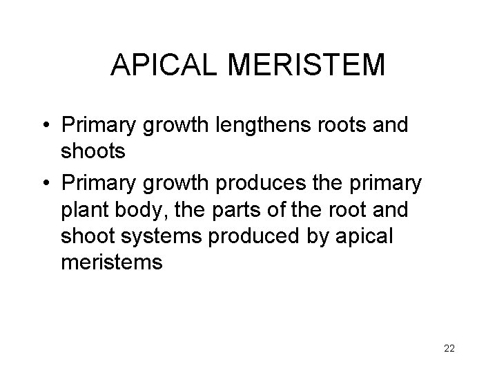 APICAL MERISTEM • Primary growth lengthens roots and shoots • Primary growth produces the