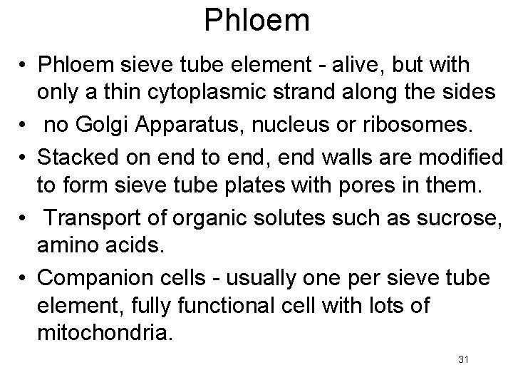 Phloem • Phloem sieve tube element - alive, but with only a thin cytoplasmic