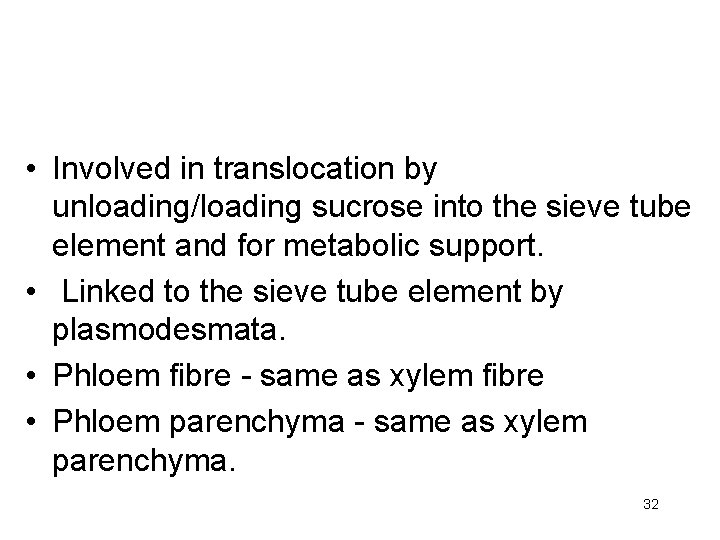  • Involved in translocation by unloading/loading sucrose into the sieve tube element and