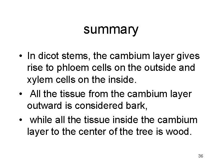 summary • In dicot stems, the cambium layer gives rise to phloem cells on