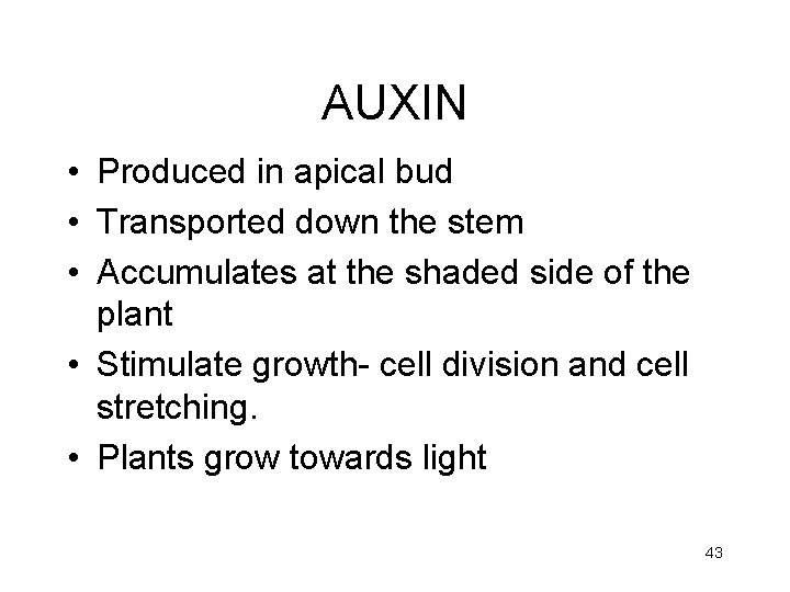 AUXIN • Produced in apical bud • Transported down the stem • Accumulates at