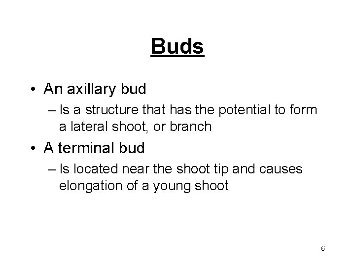 Buds • An axillary bud – Is a structure that has the potential to