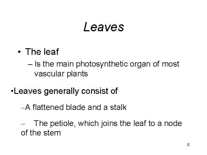 Leaves • The leaf – Is the main photosynthetic organ of most vascular plants