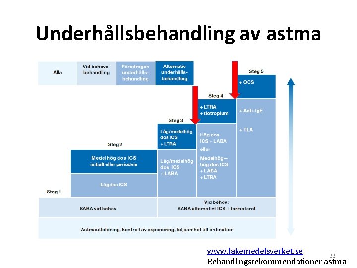 Underhållsbehandling av astma www. lakemedelsverket. se 22 Behandlingsrekommendationer astma 