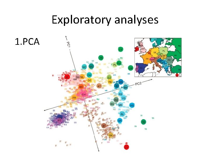 Exploratory analyses 1. PCA 