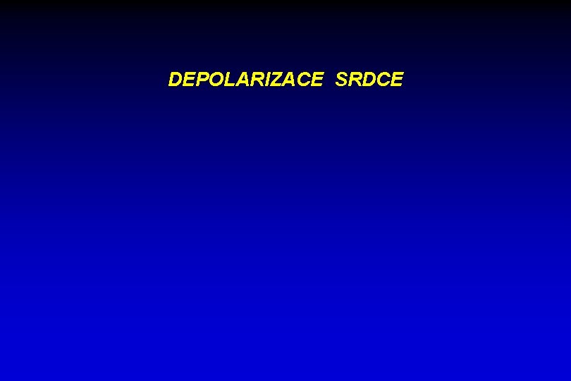 DEPOLARIZACE SRDCE 