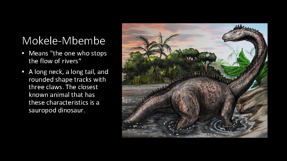 Mokele-Mbembe • Means "the one who stops the flow of rivers“ • A long