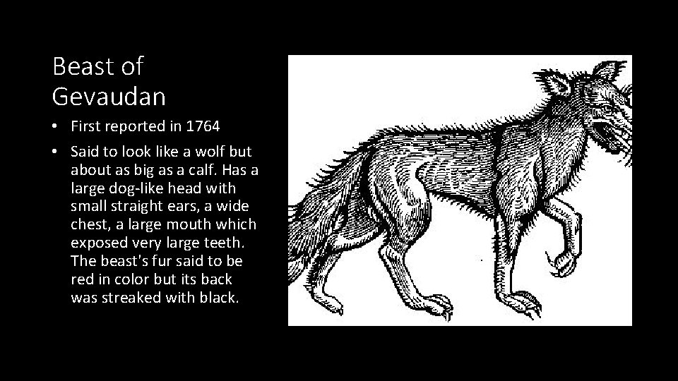 Beast of Gevaudan • First reported in 1764 • Said to look like a