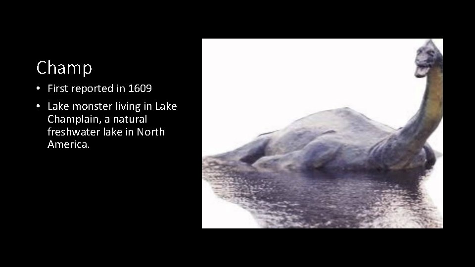 Champ • First reported in 1609 • Lake monster living in Lake Champlain, a